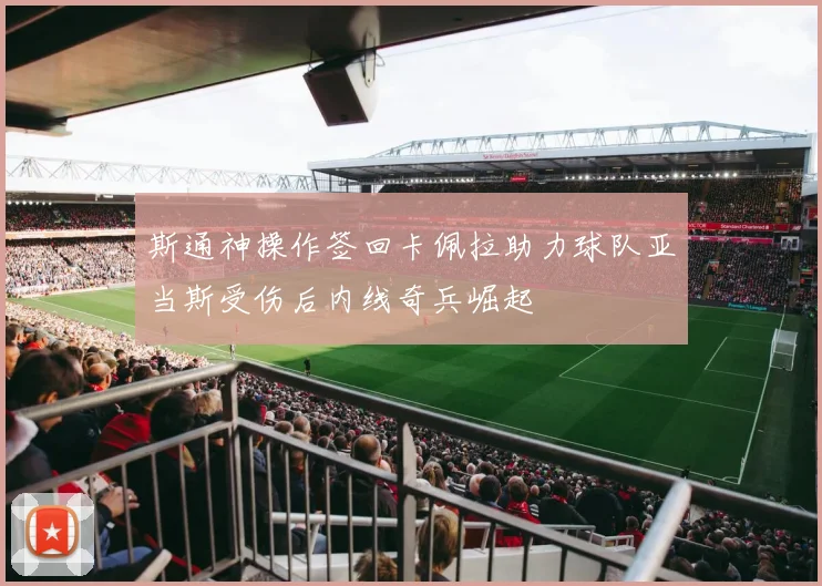 斯通神操作签回卡佩拉助力球队亚当斯受伤后内线奇兵崛起