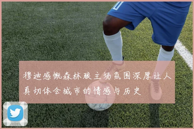 穆迪感慨森林狼主场氛围深厚让人真切体会城市的情感与历史