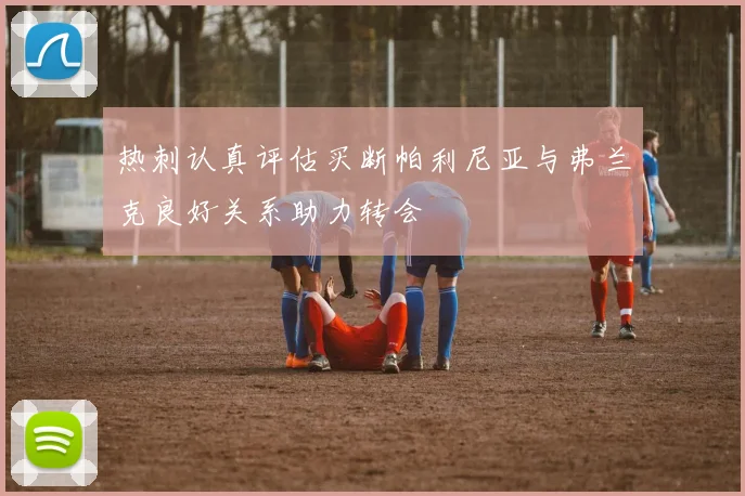 热刺认真评估买断帕利尼亚与弗兰克良好关系助力转会