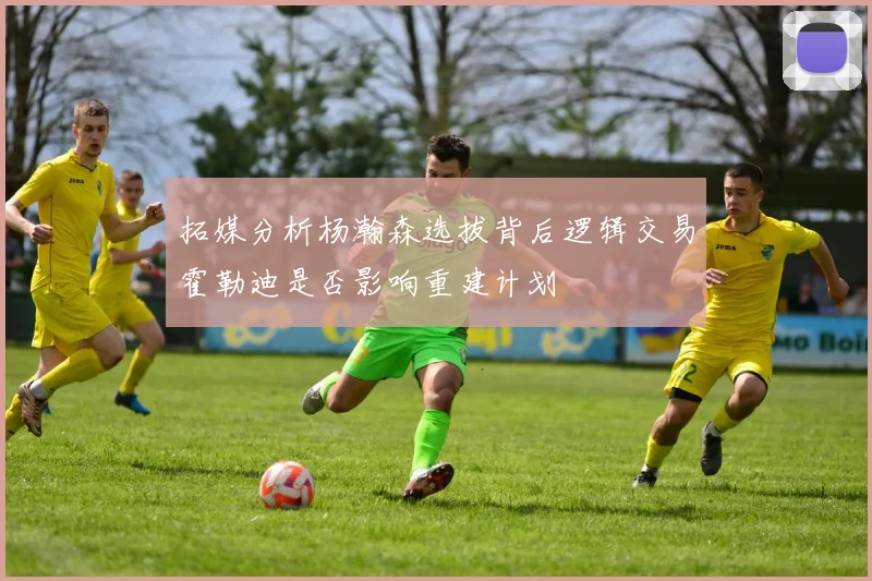 拓媒分析杨瀚森选拔背后逻辑交易霍勒迪是否影响重建计划